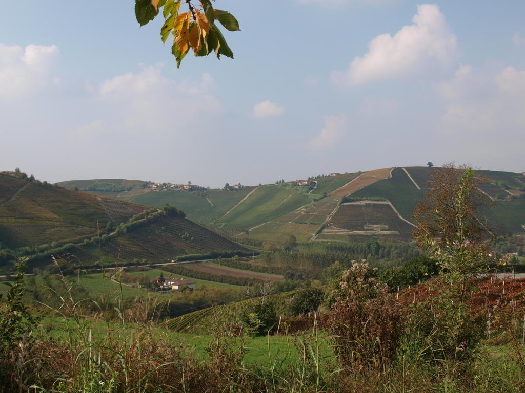 La Terrazza Del Barbaresco Bed & Breakfast Neviglie Ngoại thất bức ảnh