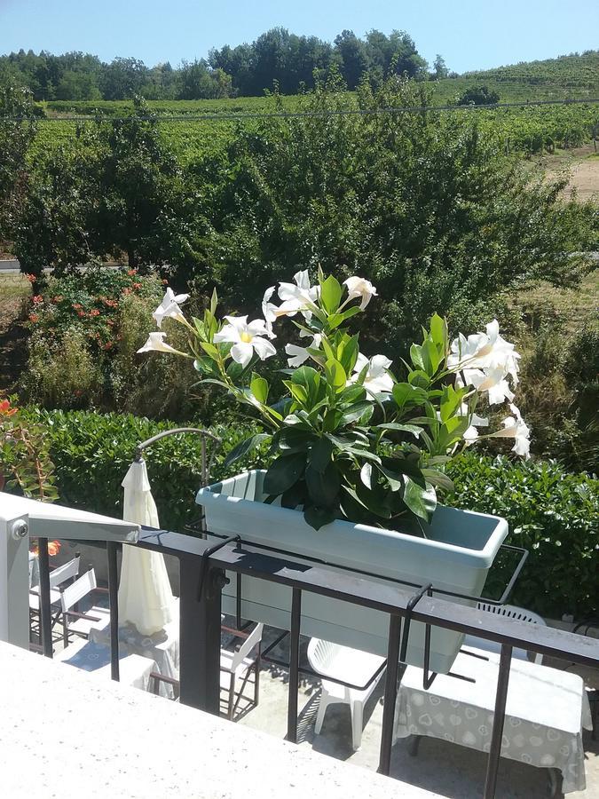 La Terrazza Del Barbaresco Bed & Breakfast Neviglie Ngoại thất bức ảnh