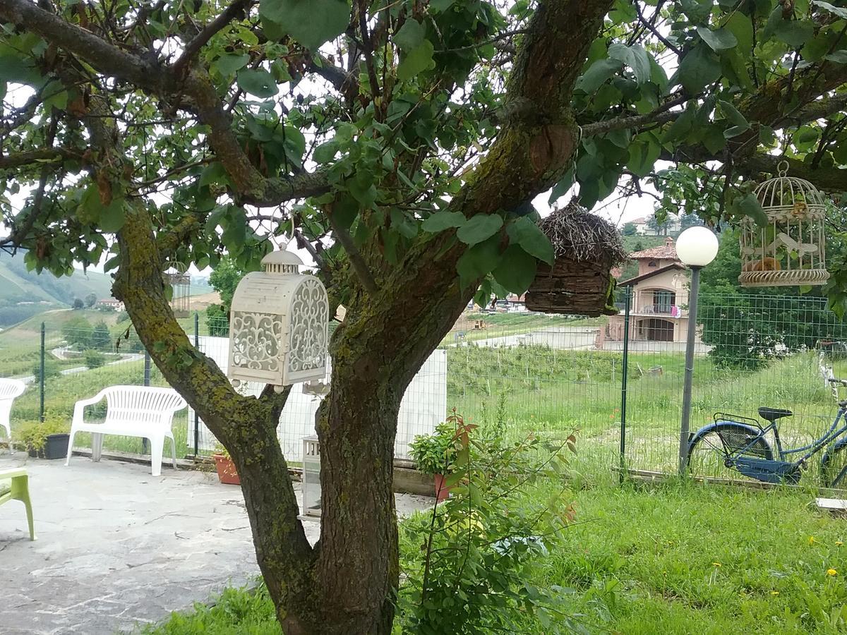 La Terrazza Del Barbaresco Bed & Breakfast Neviglie Ngoại thất bức ảnh
